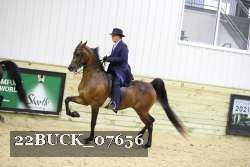 22BUCK_07656 proof