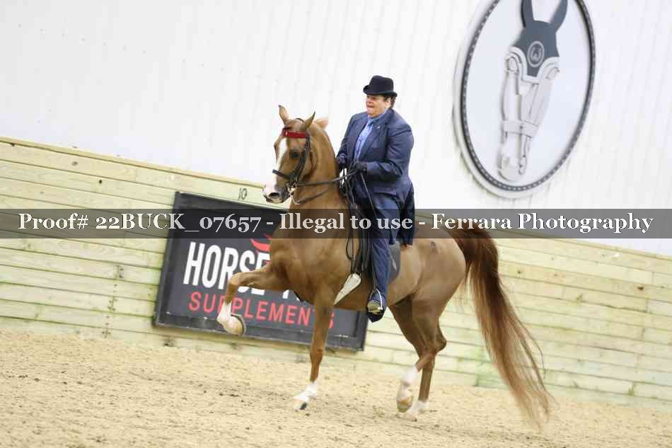 Proof 22BUCK_07657