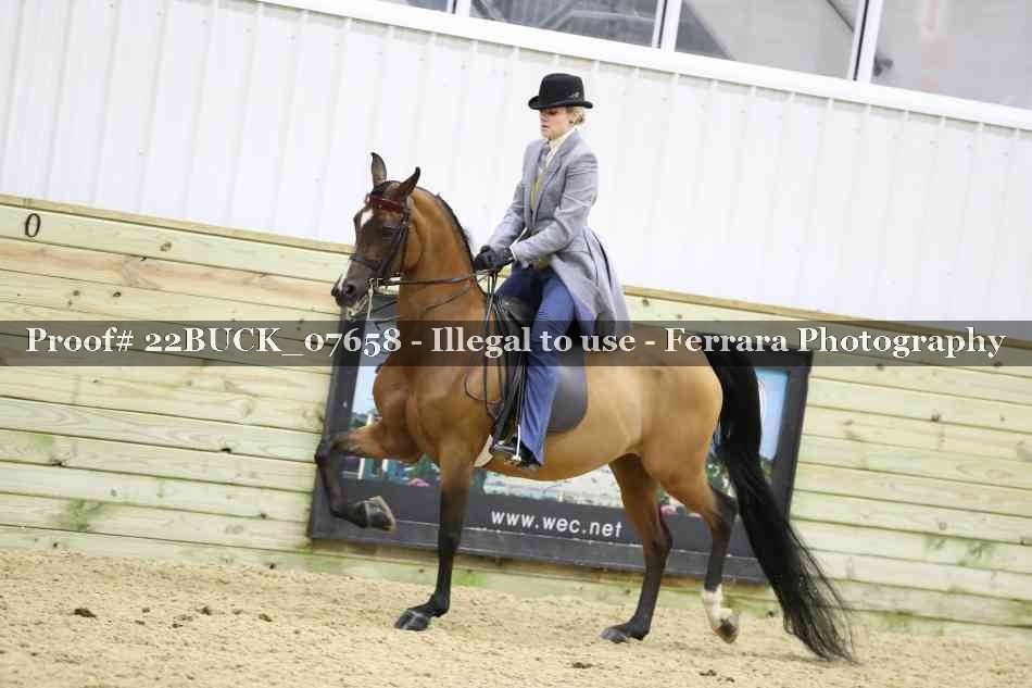 Proof 22BUCK_07658