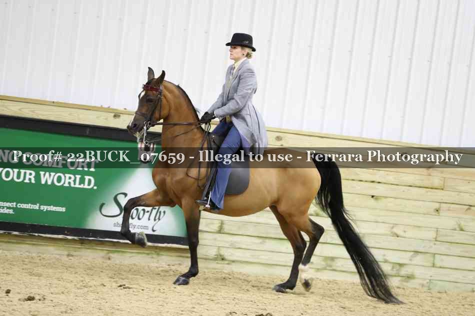 Proof 22BUCK_07659