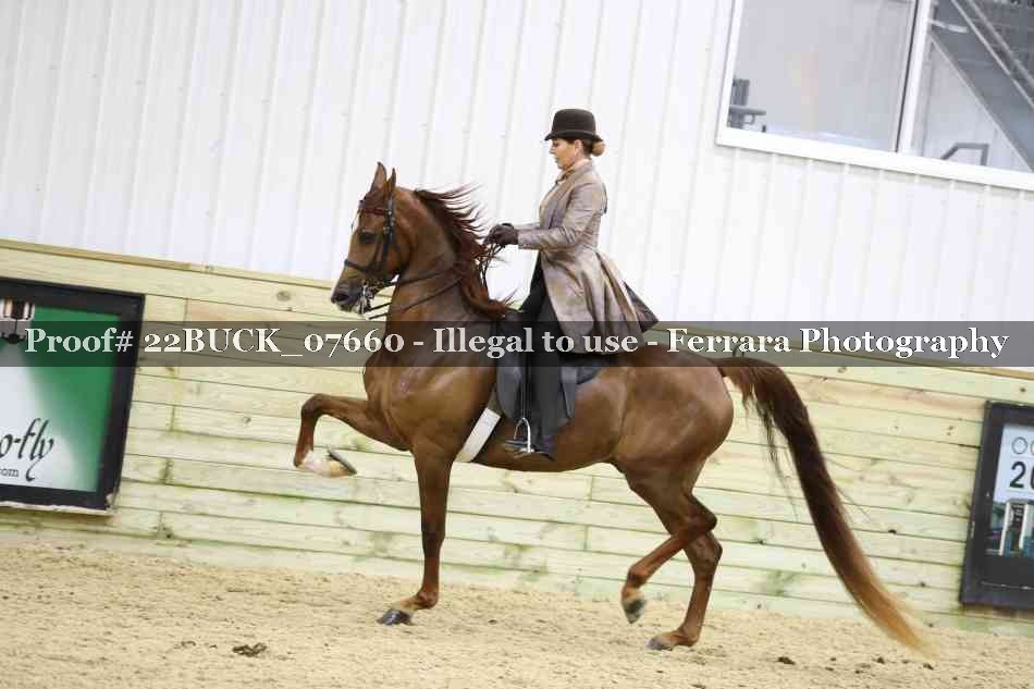 Proof 22BUCK_07660