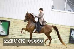 22BUCK_07660 proof