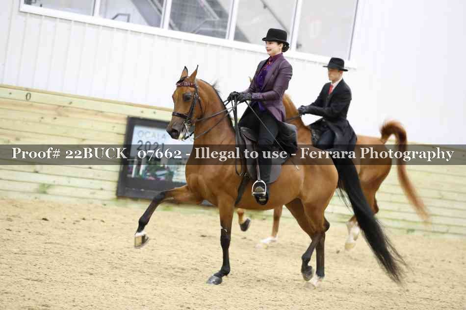 Proof 22BUCK_07662