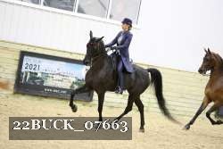 22BUCK_07663 proof
