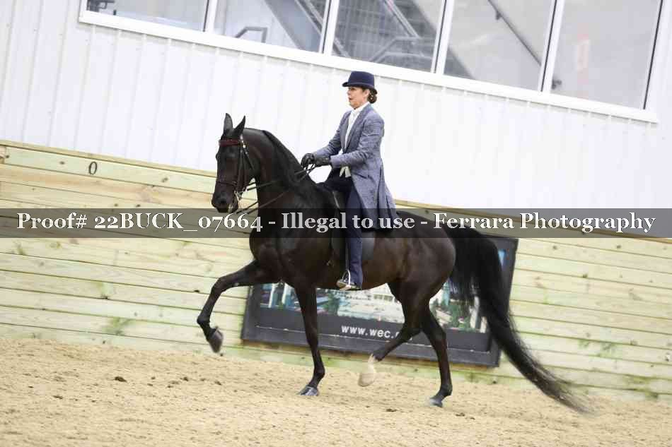Proof 22BUCK_07664