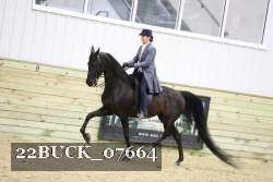 22BUCK_07664 proof