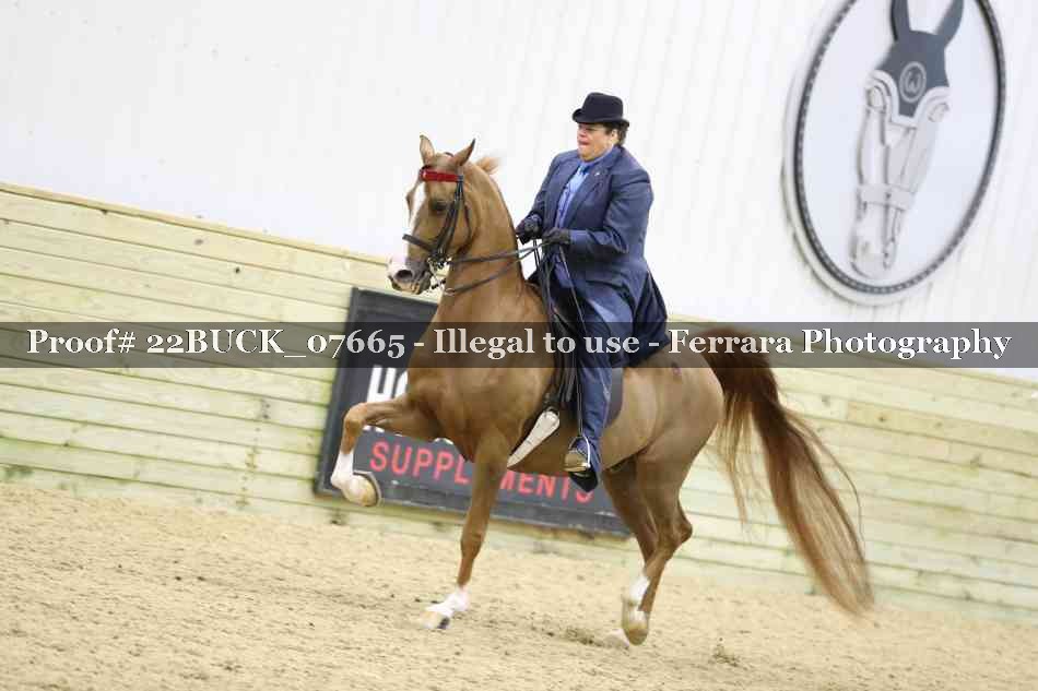Proof 22BUCK_07665