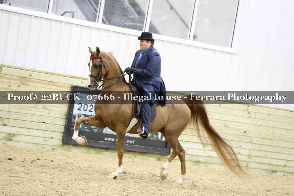 Proof 22BUCK_07666