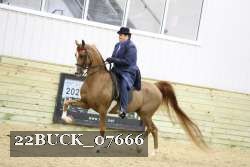 22BUCK_07666 proof