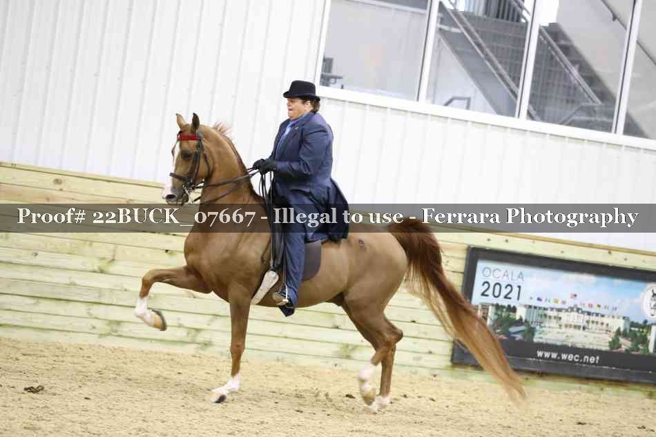 Proof 22BUCK_07667