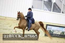 22BUCK_07667 proof
