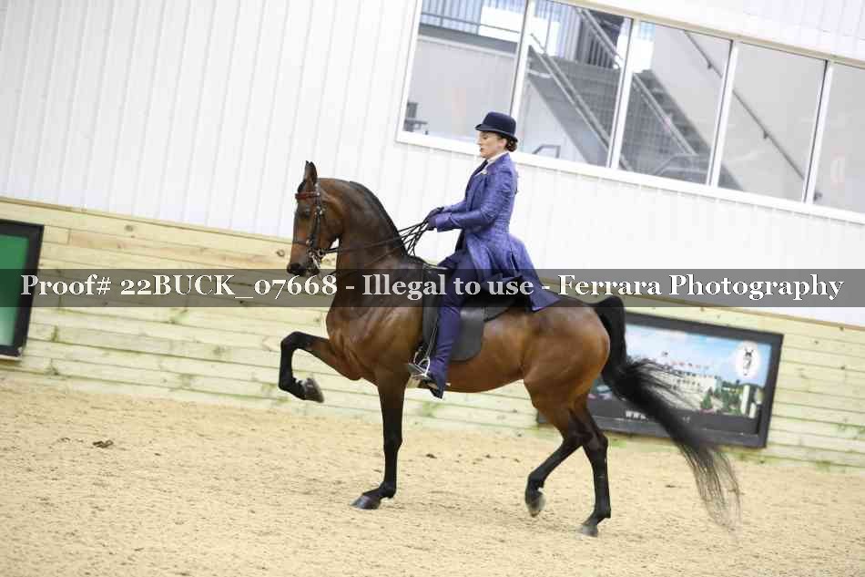 Proof 22BUCK_07668