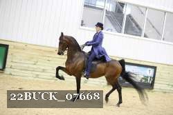 22BUCK_07668 proof
