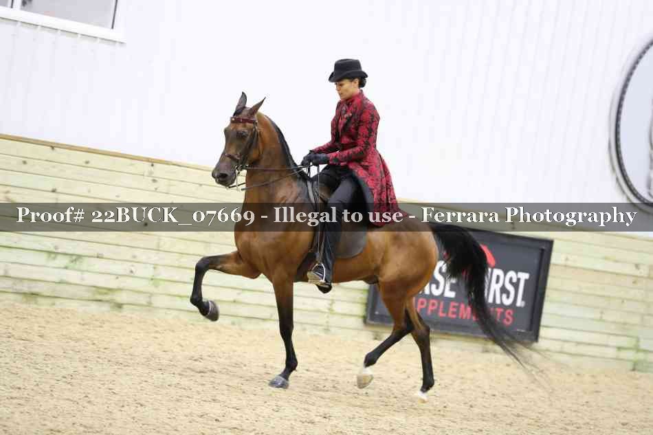 Proof 22BUCK_07669