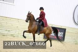 22BUCK_07669 proof
