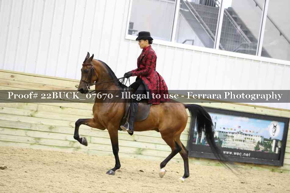 Proof 22BUCK_07670