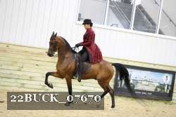 22BUCK_07670 proof