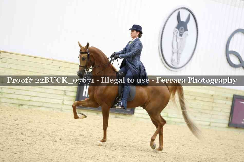 Proof 22BUCK_07671