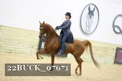 22BUCK_07671 proof
