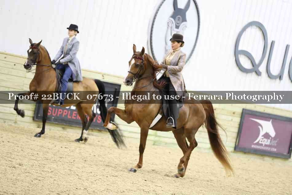 Proof 22BUCK_07673