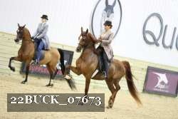 22BUCK_07673 proof