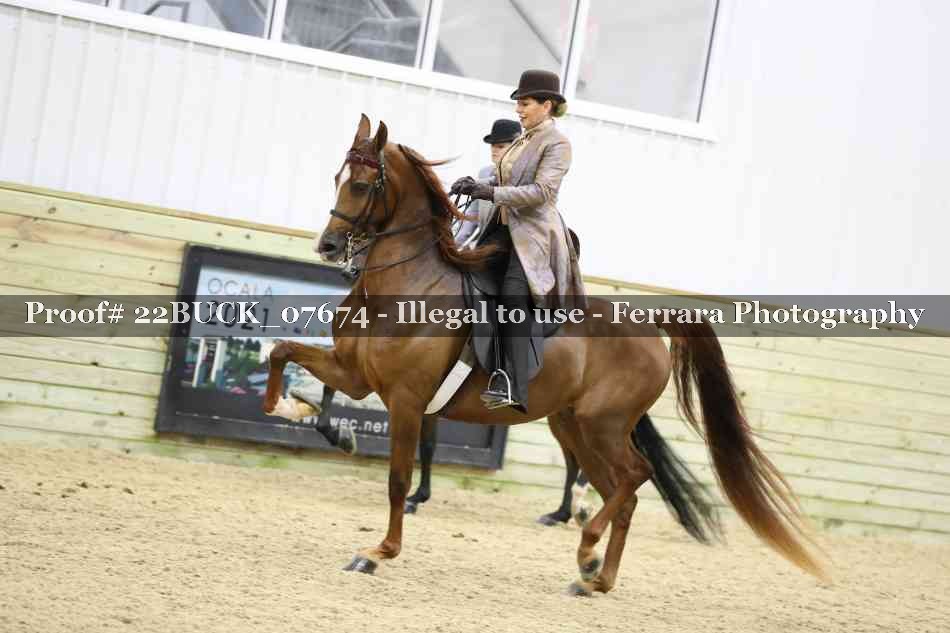 Proof 22BUCK_07674