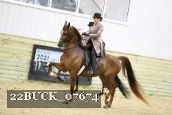22BUCK_07674 proof