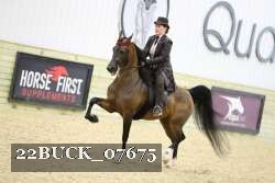 22BUCK_07675 proof
