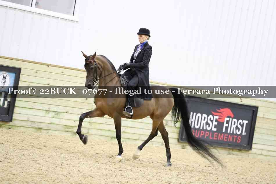 Proof 22BUCK_07677