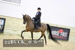 22BUCK_07677 proof