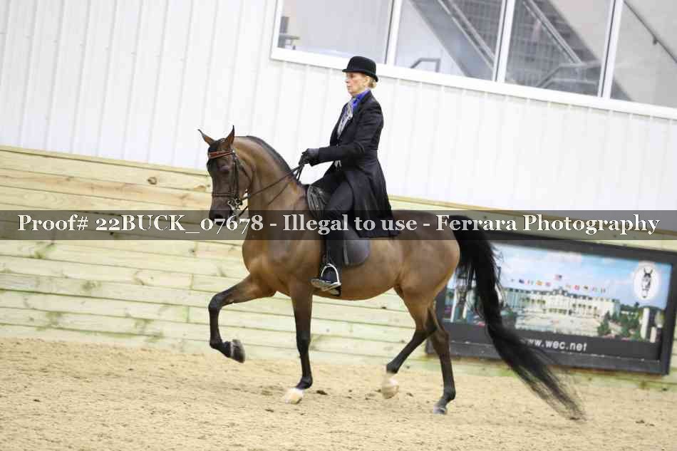 Proof 22BUCK_07678