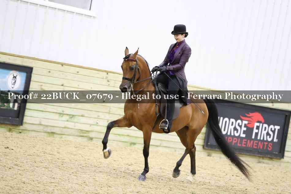 Proof 22BUCK_07679