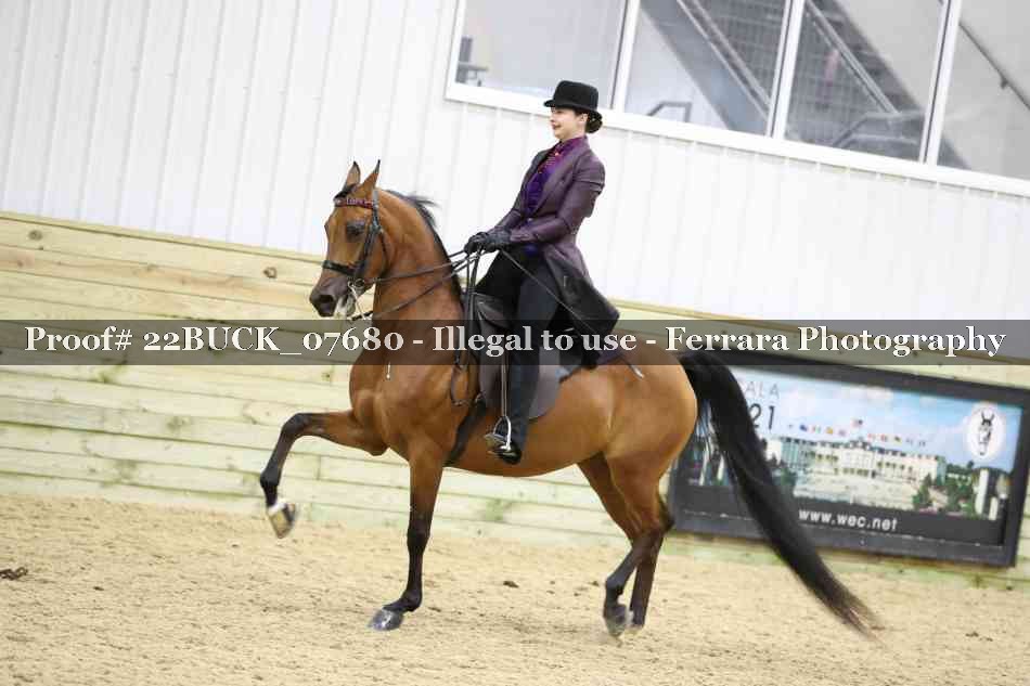 Proof 22BUCK_07680
