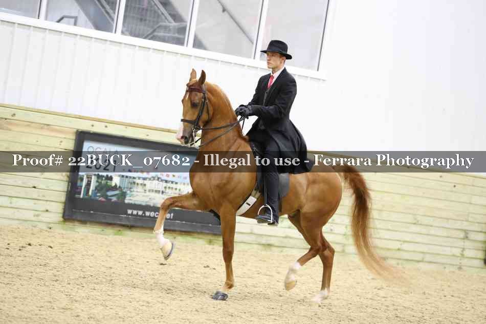 Proof 22BUCK_07682