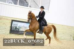 22BUCK_07682 proof