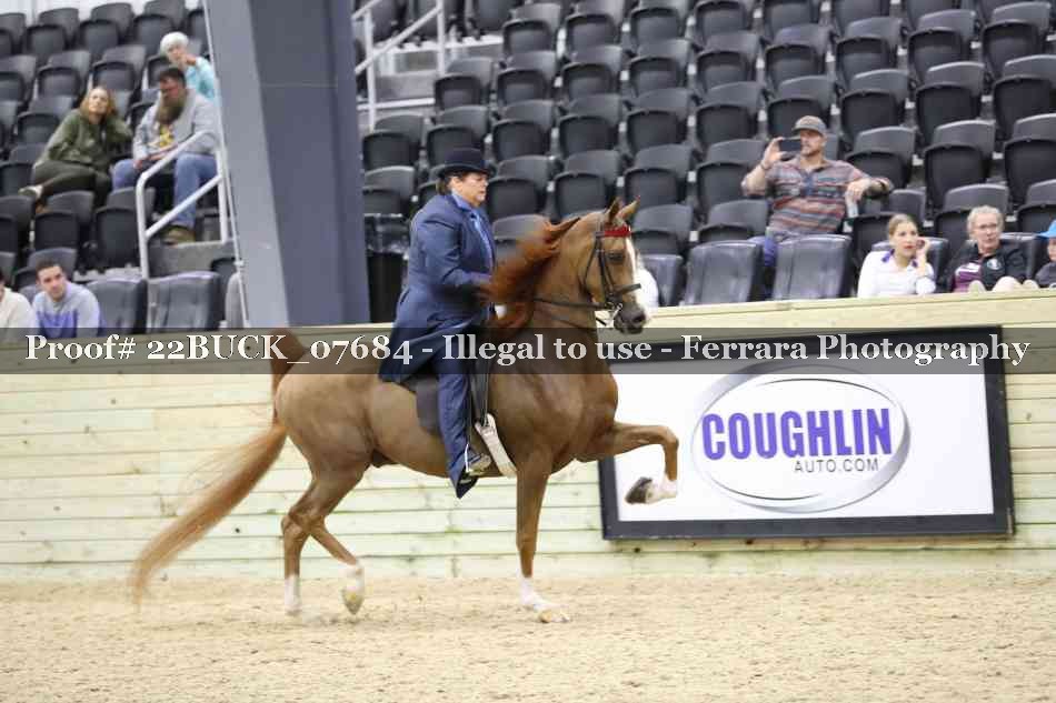 Proof 22BUCK_07684