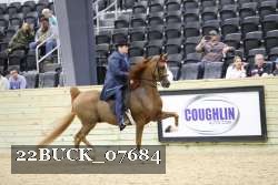 22BUCK_07684 proof