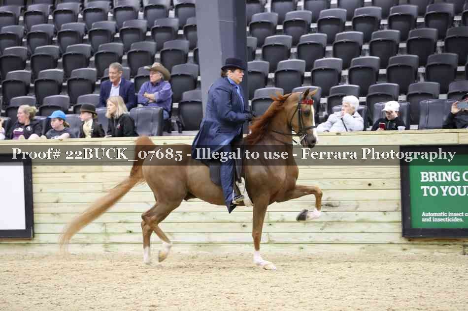Proof 22BUCK_07685
