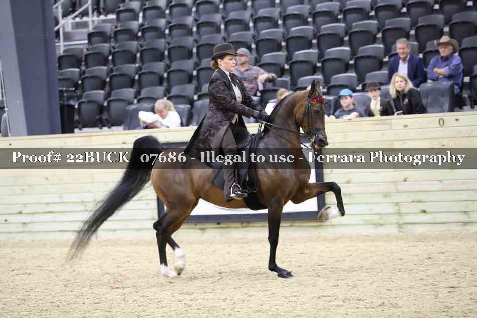 Proof 22BUCK_07686