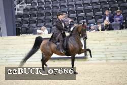 22BUCK_07686 proof