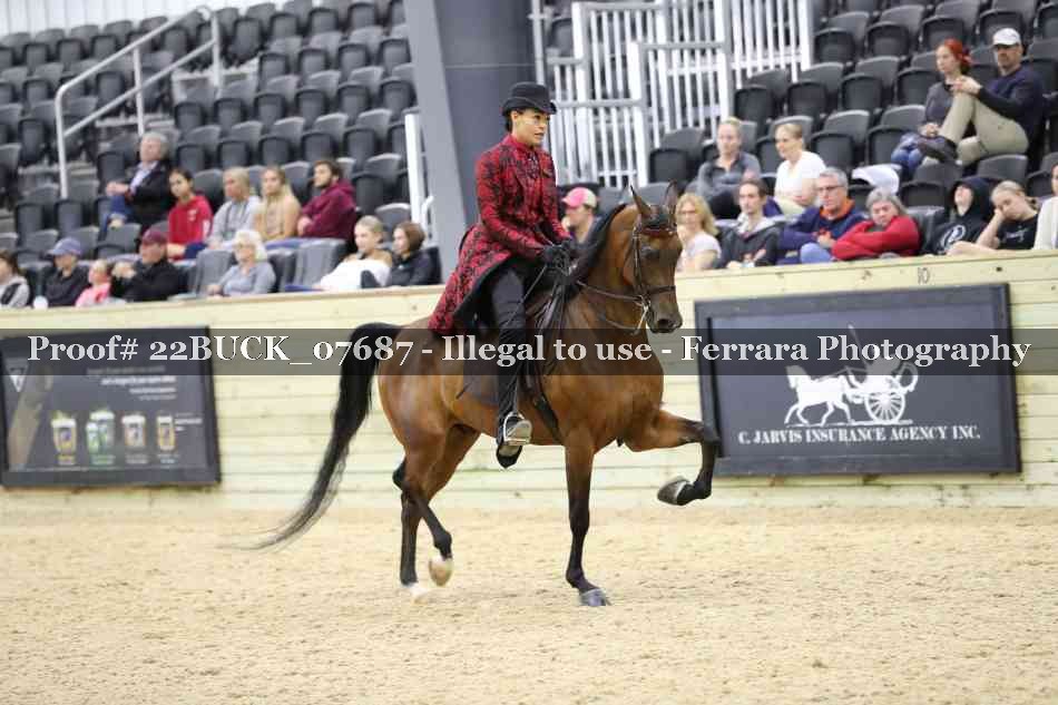 Proof 22BUCK_07687