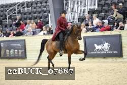 22BUCK_07687 proof
