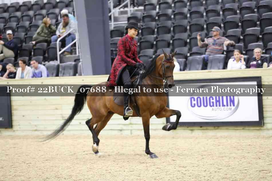 Proof 22BUCK_07688