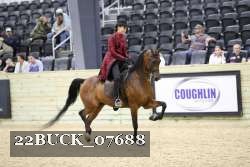 22BUCK_07688 proof