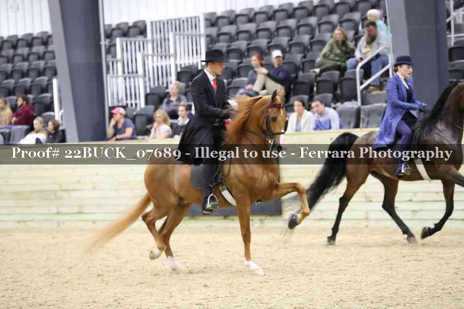 Proof 22BUCK_07689