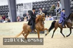22BUCK_07689 proof
