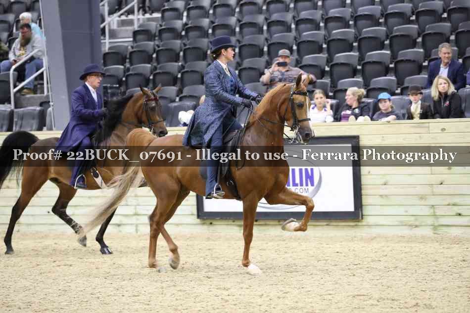 Proof 22BUCK_07691