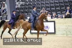 22BUCK_07691 proof