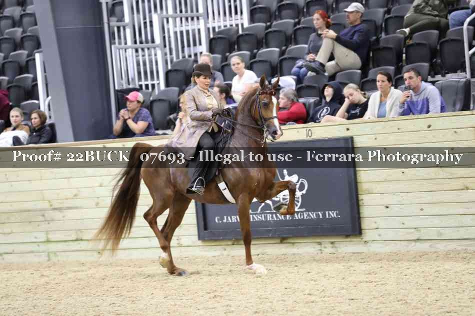 Proof 22BUCK_07693