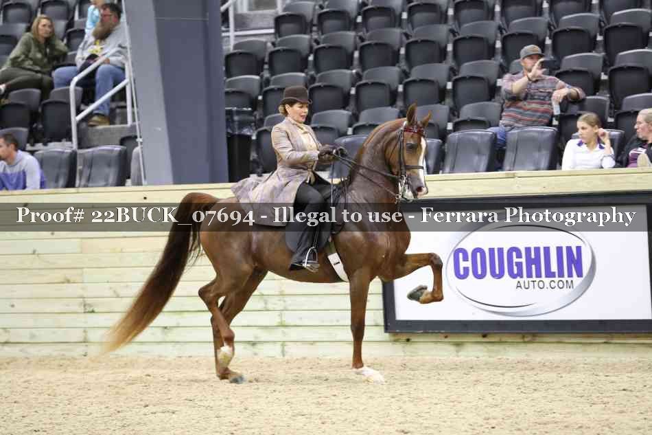 Proof 22BUCK_07694